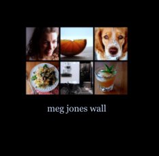 meg jones wall book cover