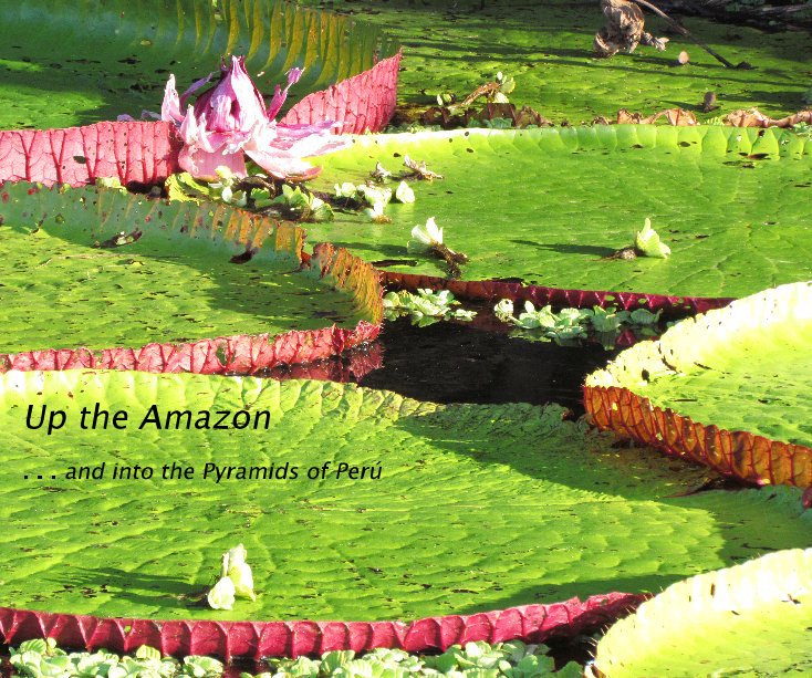 View Up the Amazon by Jane Lehr