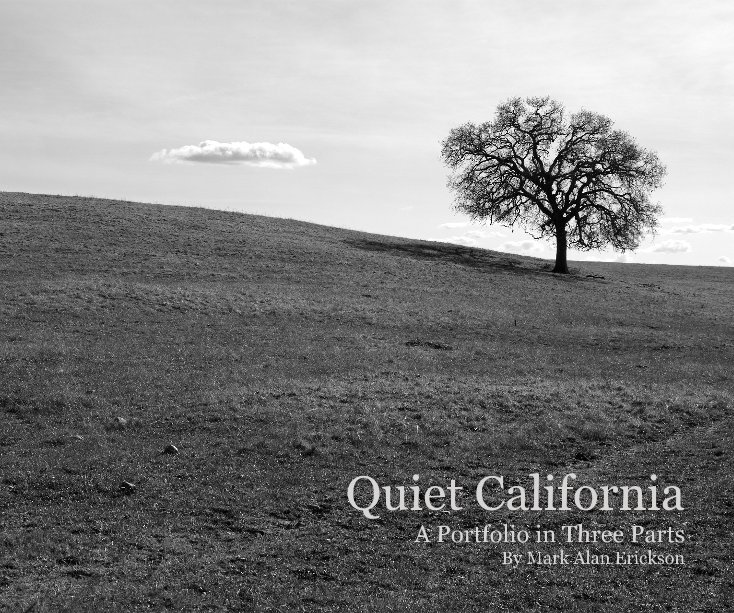 View Quiet California by Mark Alan Erickson