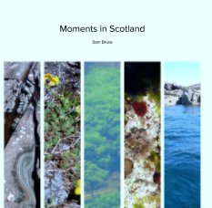 Moments in Scotland book cover
