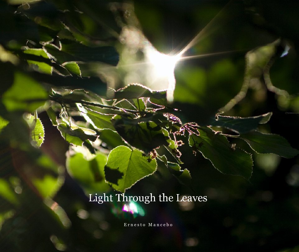 View Light Through the Leaves by E r n e s t o   M a n c e b o