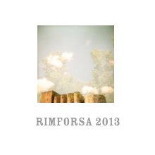 Rimforsa 2013 book cover