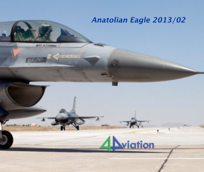 Anatolian Eagle 2013/02 book cover