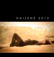 Haizene 2013 book cover