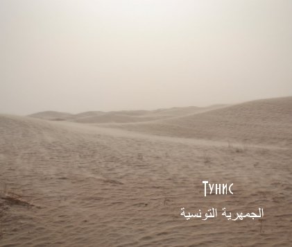 Тунис 2013 book cover