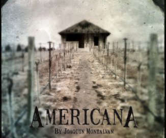 AmericanA book cover
