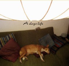 A dogs life book cover