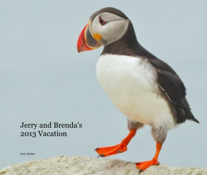 Jerry and Brenda's 2013 Vacation book cover