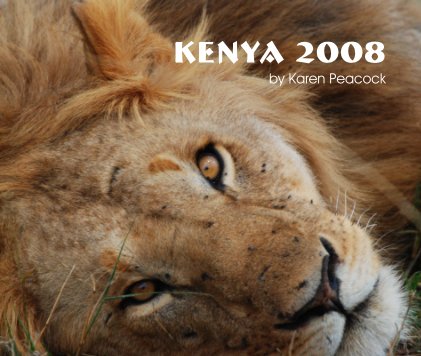 Kenya 2008 book cover