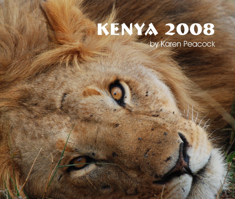 View Kenya 2008 by Karen Peacock