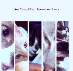 One Year of Cat:  Rocket and Luna book cover