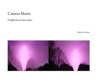 Camera Morte book cover