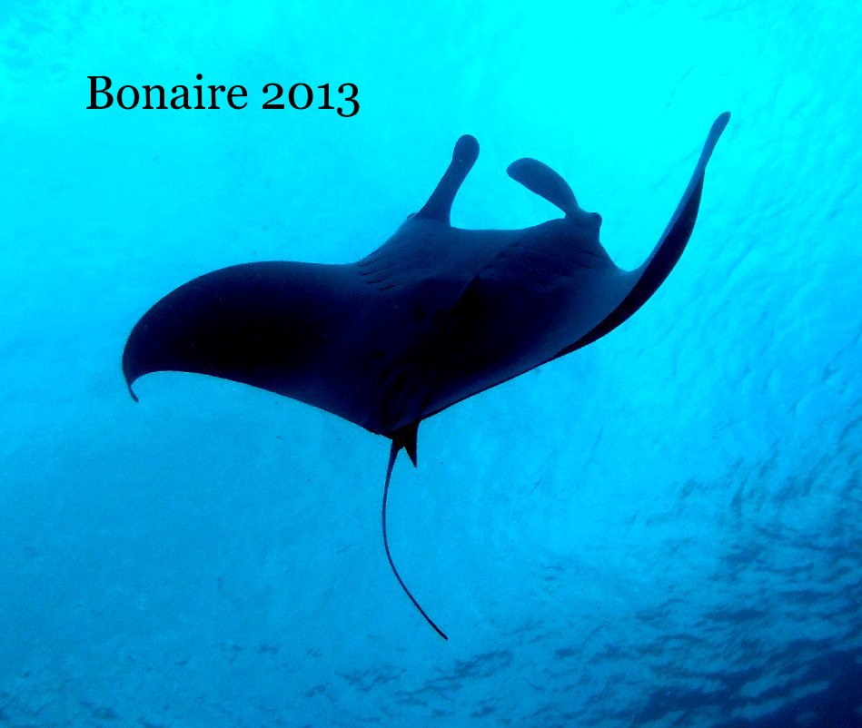 Ver Bonaire 2013 por rdemarco