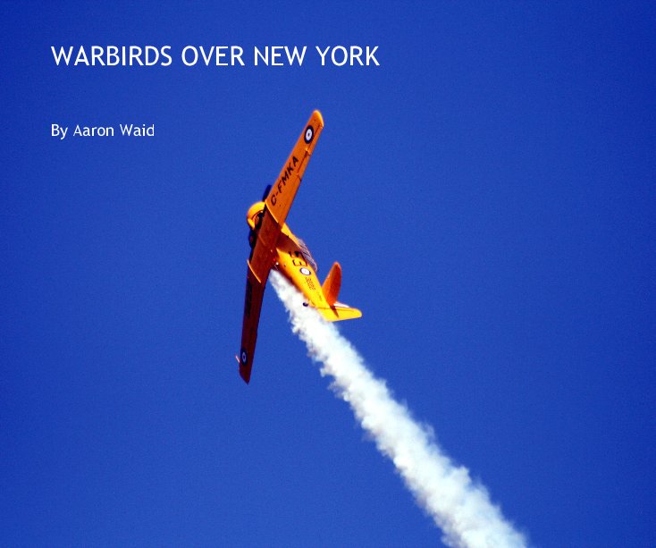 Ver WARBIRDS OVER NEW YORK por Aaron Waid