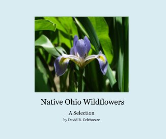 Native Ohio Wildflowers book cover