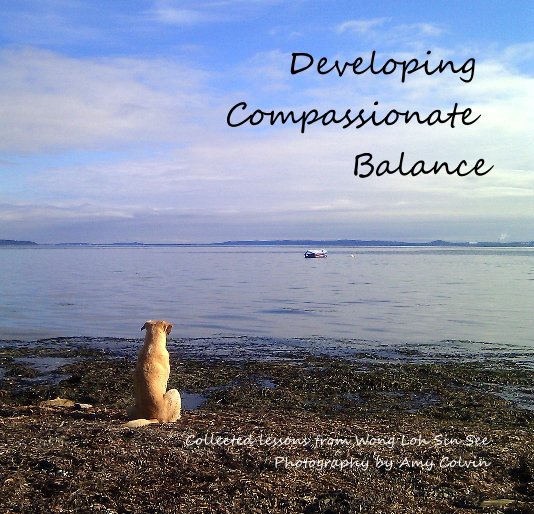 Bekijk Developing Compassionate Balance op Amy Colvin
