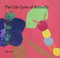 The Life Cycle of Butterfly book cover