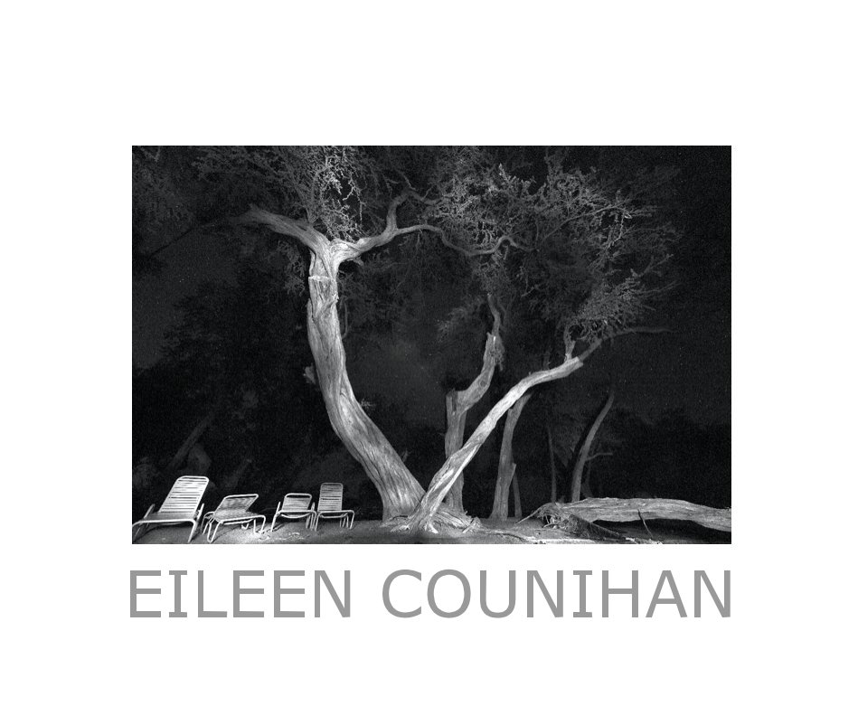 Bekijk Black White Night
Eileen Counihan
(coffee table edition) op EILEEN COUNIHAN
