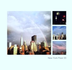 New York Floor 23 book cover