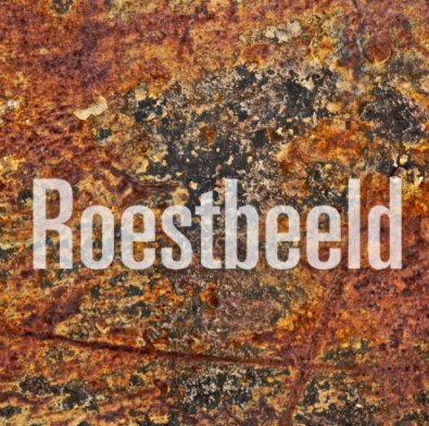 Roestbeeld book cover