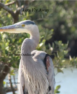 Lets Fly Away book cover