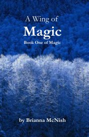 A Wing of Magic book cover