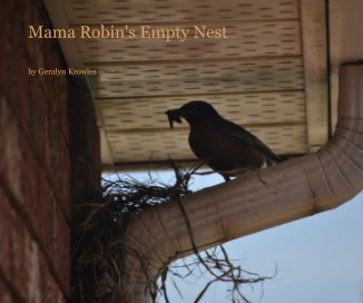 Mama Robin's Empty Nest book cover