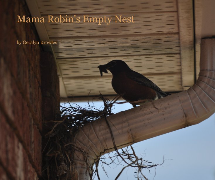 View Mama Robin's Empty Nest by Geralyn Krowles