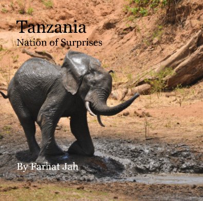 Tanzania Nation of Surprises book cover