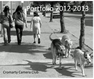 Portfolio 2012-2013 book cover