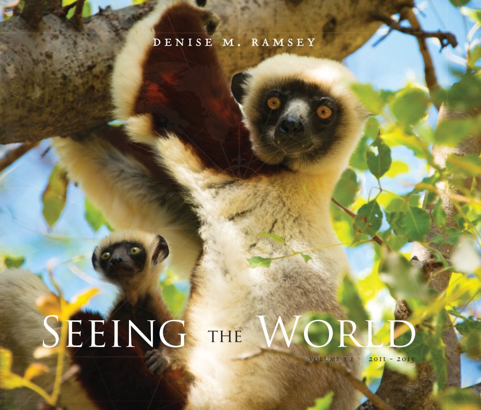 Bekijk Seeing The World Volume II op Denise M. Ramsey