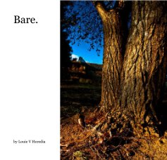 Bare. book cover