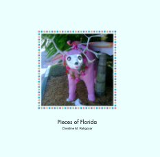 Pieces of Florida book cover
