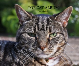 TOP CAT ALBUM book cover