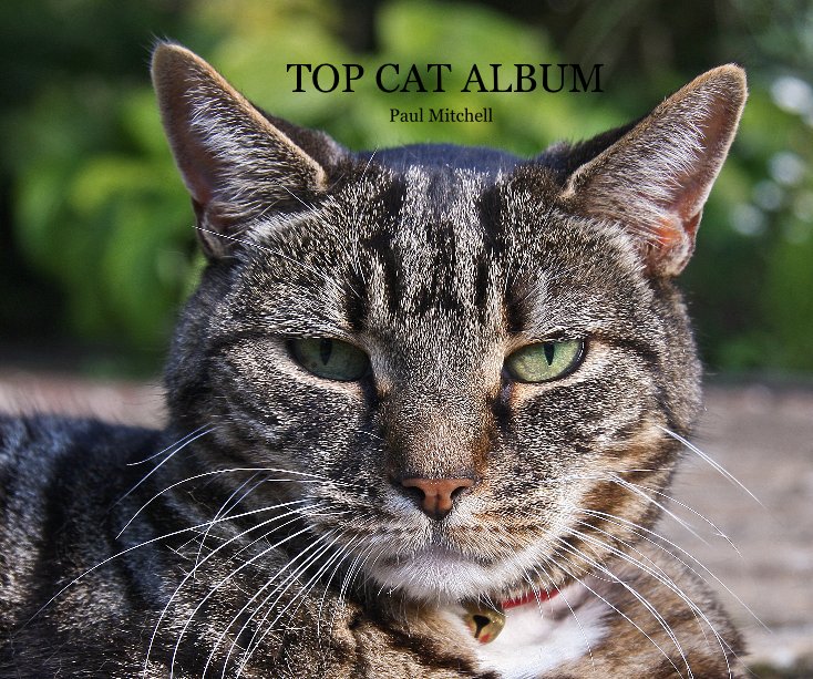 View TOP CAT ALBUM by Paul Mitchell