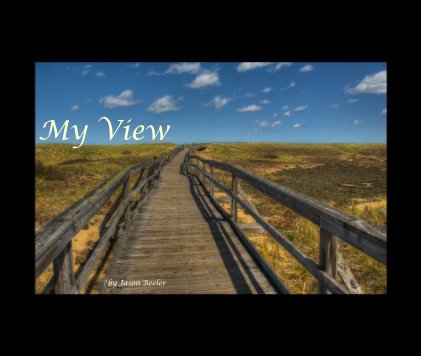 My View book cover