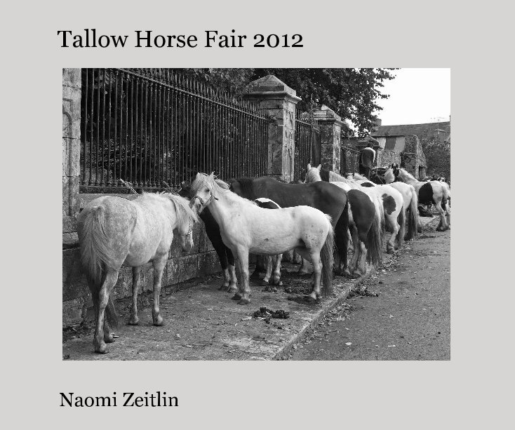 View Tallow Horse Fair 2012 by Naomi Zeitlin