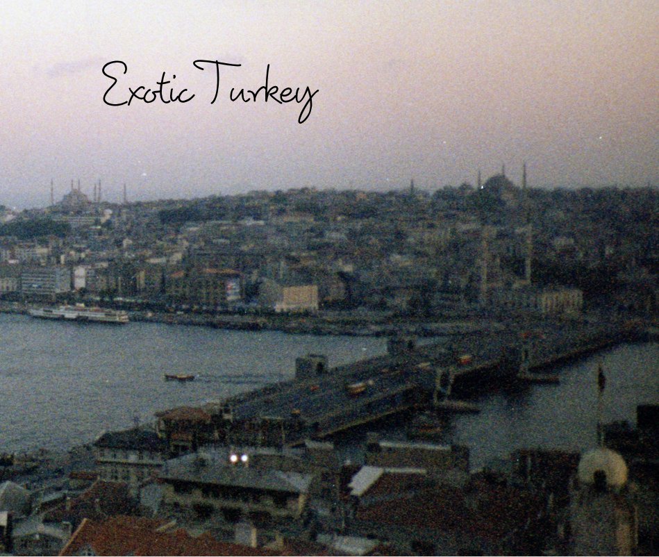 View Exotic Turkey by Michelina Di Iorio