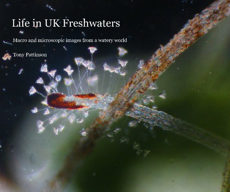 View Life in UK Freshwaters by Tony Pattinson
