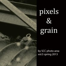 Pixels & Grain book cover