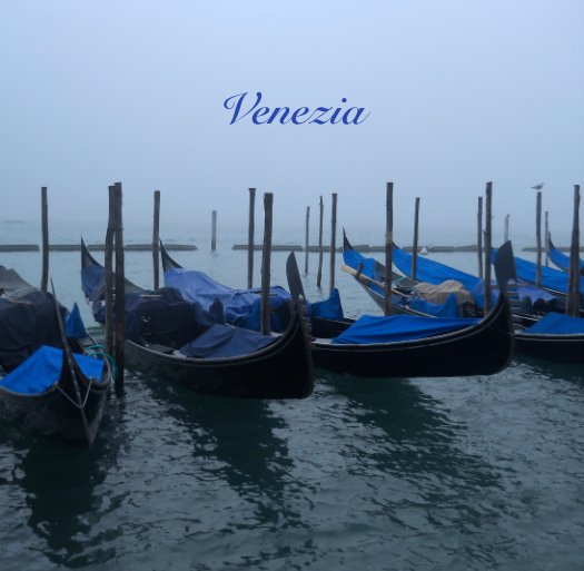 View Venezia by athenaeum