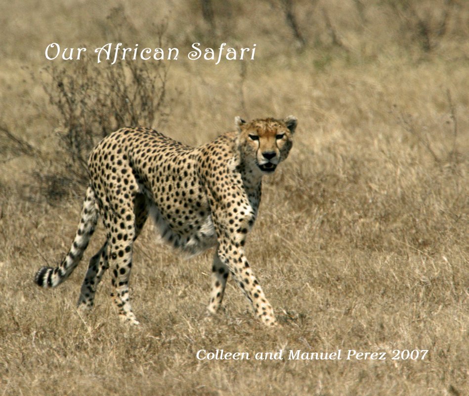 View Our African Safari Colleen and Manuel Perez 2007 by drperma