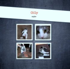 Gilly book cover