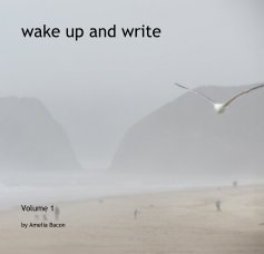 wake up and write book cover