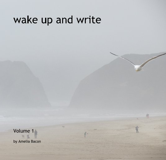 View wake up and write by Amelia Bacon