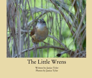 The Little Wrens book cover