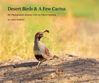 Desert Birds & A Few Cactus book cover