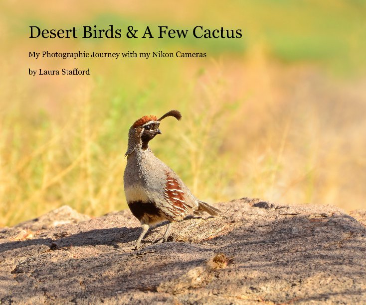 View Desert Birds & A Few Cactus by Laura Stafford