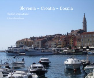 Slovenia ~ Croatia ~ Bosnia book cover