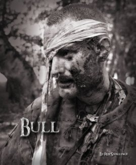 Bull book cover